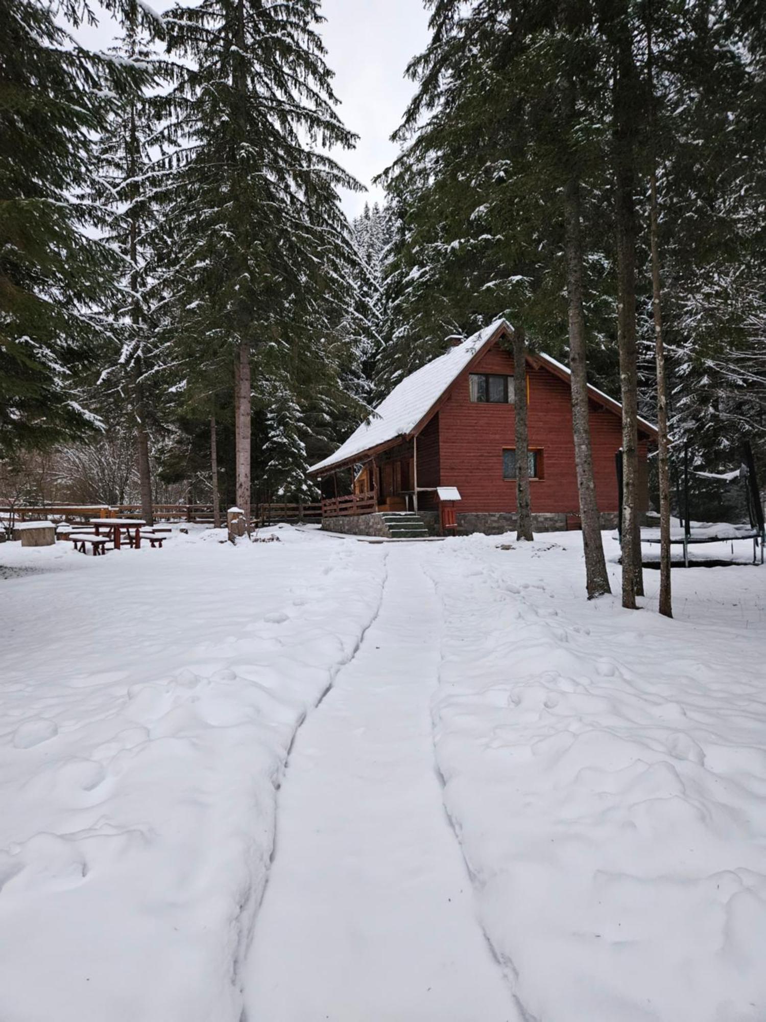 Silent Serenity Mountain Cabin Balan  ภายนอก รูปภาพ